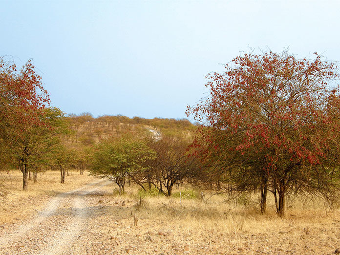 Wycieczki do Namibii