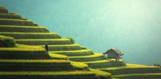 Wakacje na Bali