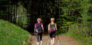 nordic walking