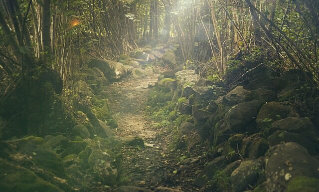 Ile kosztuje 3 dniowa wycieczka do Włoch? Ile kosztuje 3 dniowa wycieczka do Włoch?