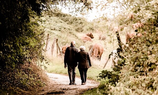 Gdzie w Europie są najwyższe emerytury?