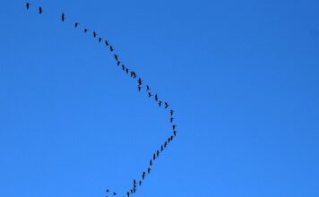 Kiedy najtaniej lecieć do Włoch?