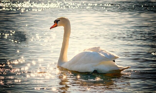 Jak długo jedzie się z Polski do Włoch? Jak długo jedzie się z Polski do Włoch?
