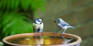 Jak się mówi na Litwinów?