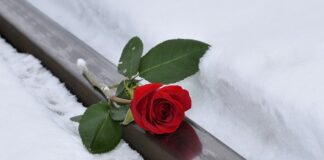Jak masz na imię po litewsku?